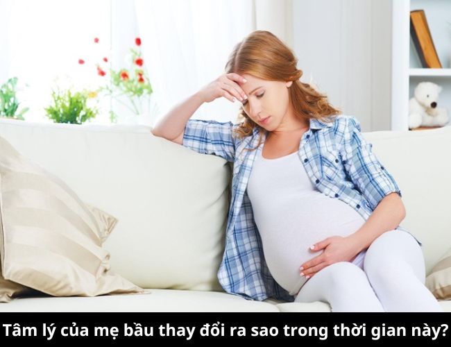 Tâm lý của mẹ bầu thay đổi ra sao trong thời gian này