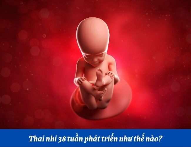 Thai nhi 38 tuần phát triển như thế nào?