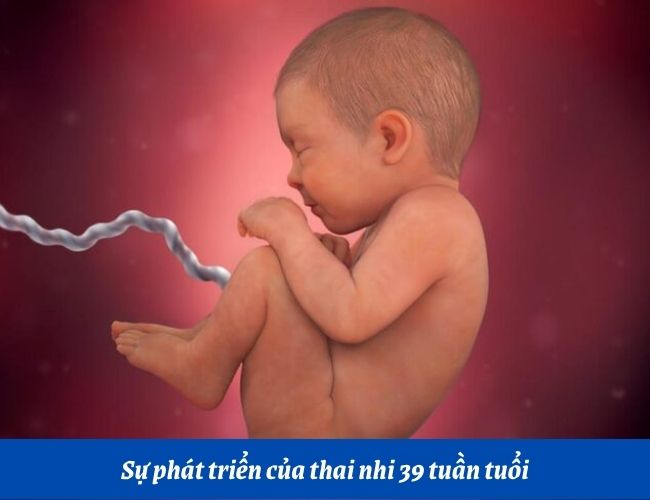 Hình ảnh thai nhi 39 tuần tuổi