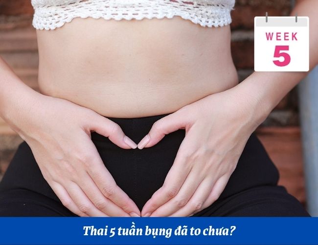 Mẹ bầu mang thai 5 tuần bụng vẫn chưa quá to