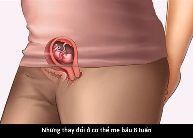 Những thay đổi ở cơ thể mẹ bầu 8 tuần