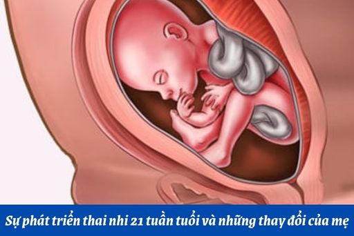 Những thay đổi của thai nhi tuần thứ 21