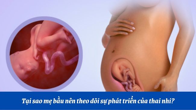 Thai nhi 29 tuần tuổi đã có sự phát triển vượt bậc