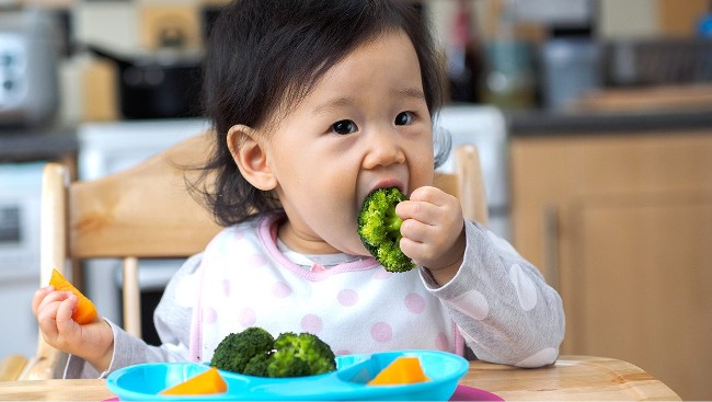 Thực Đơn Cho Bé 2 Tuổi Giàu Dinh Dưỡng, Giúp Bé Tăng Cân