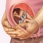 Những thay đổi thai nhi tuần thứ 27