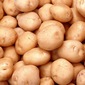 Bột khoai tây Bột khoai tây