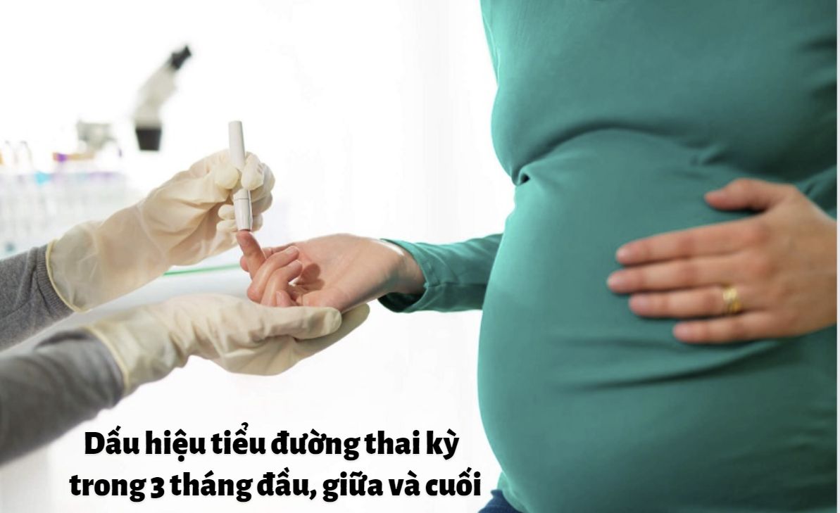 Dấu hiệu tiểu đường thai kỳ 3 tháng đầu, giữa và 3 tháng cuối