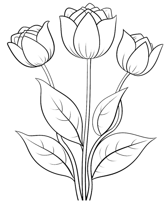 Tranh tô màu bông hoa đơn giản 2