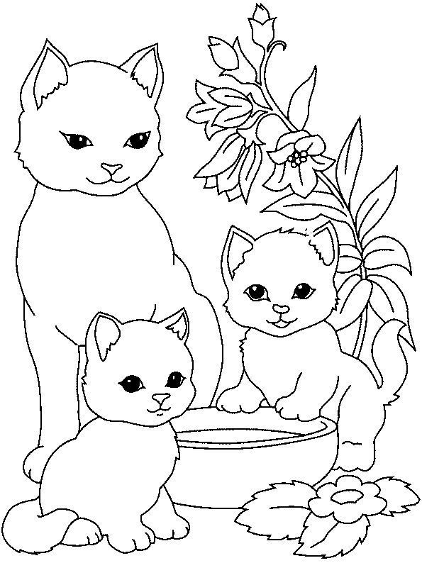 Tranh tô màu gia đình mèo cực cute 9