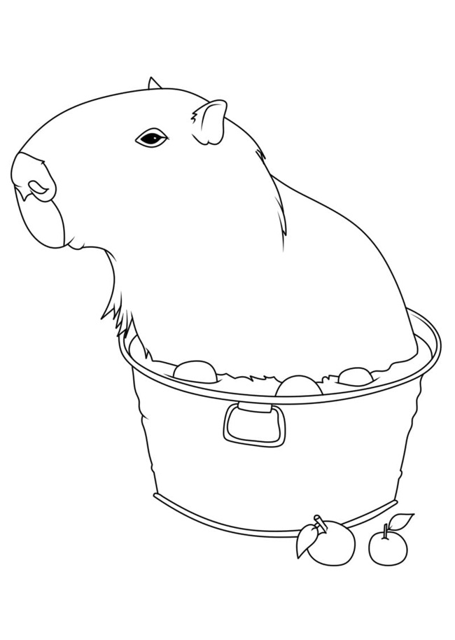 Tranh tô màu capybara cute, đơn giản 2