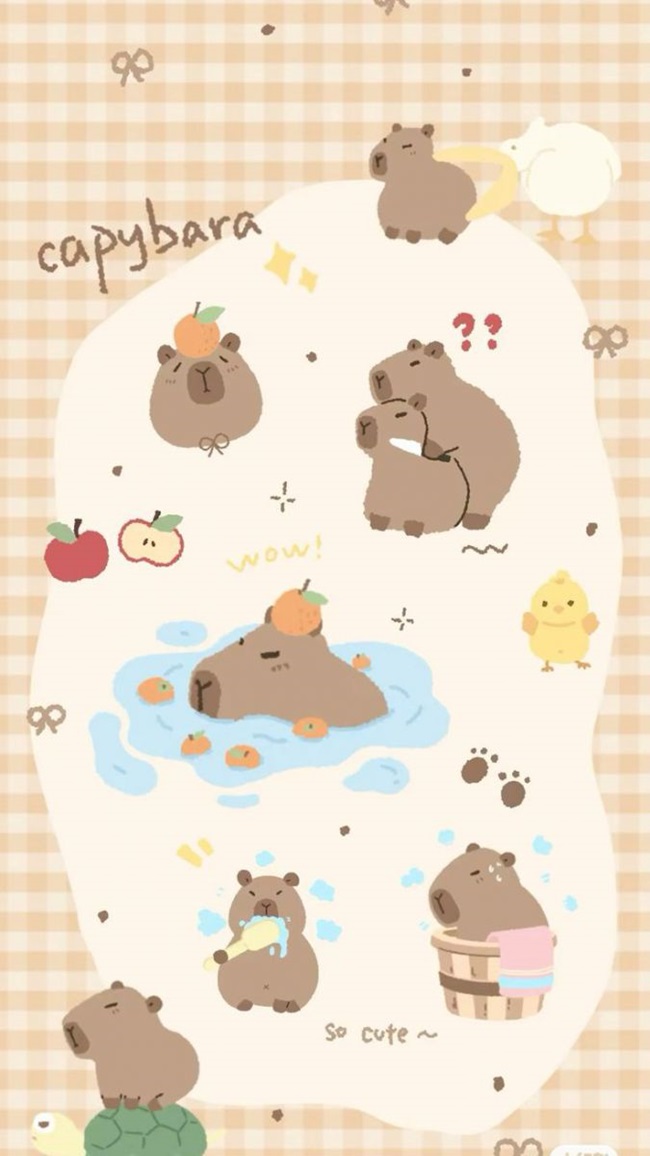 Một số ảnh capybara dễ thương, cute làm hình nền 4