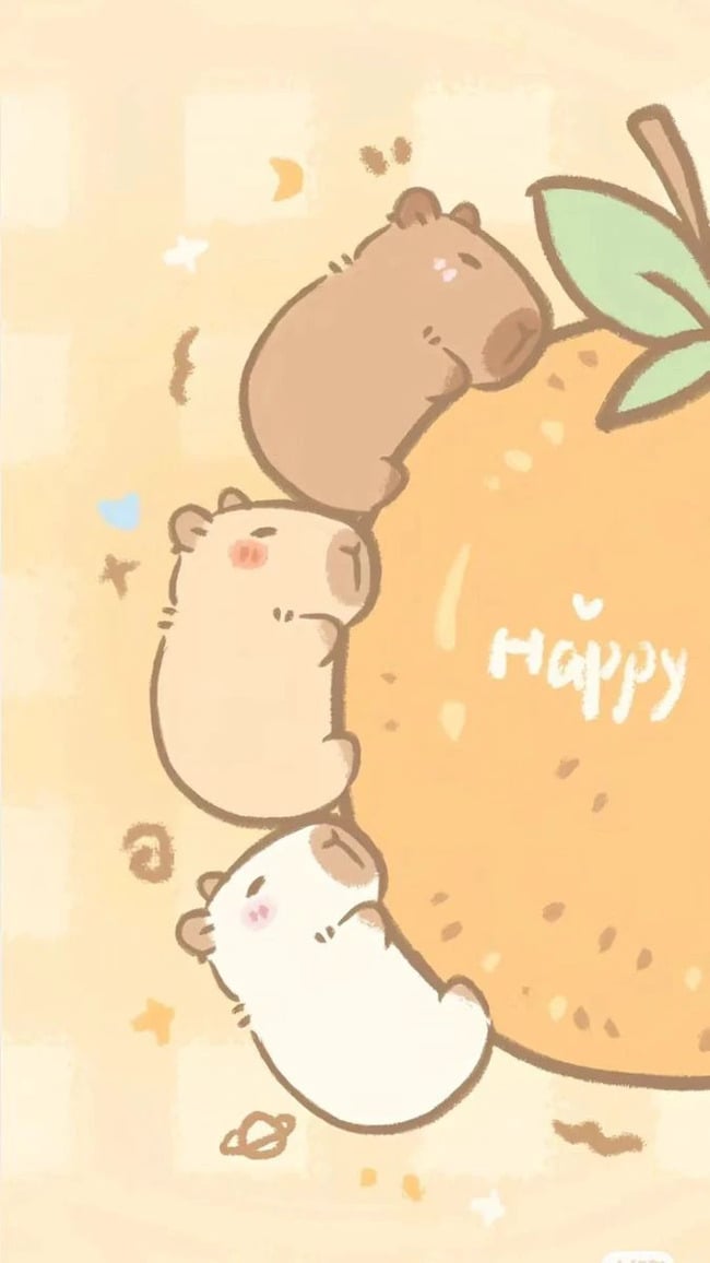 Một số ảnh capybara dễ thương, cute làm hình nền 6