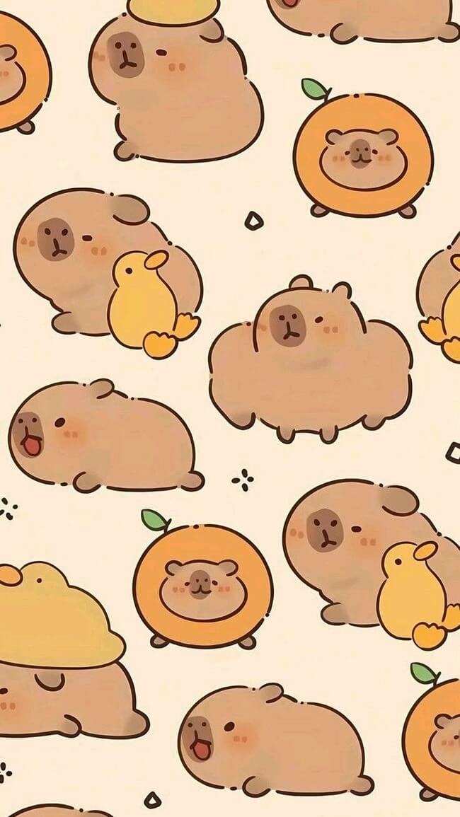 Một số ảnh capybara dễ thương, cute làm hình nền 7