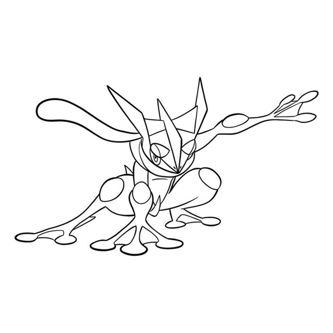 Tranh tô màu Pokemon Gekkouga 2