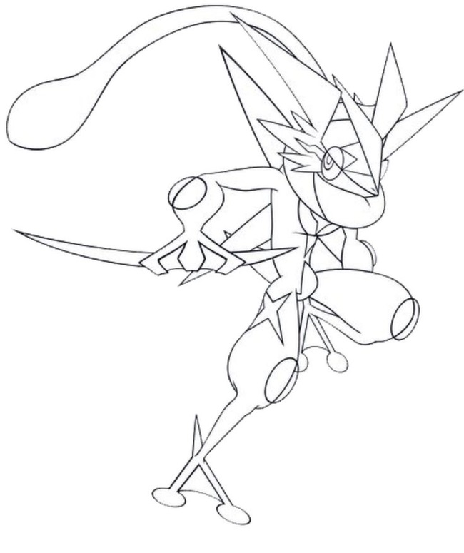 Tranh tô màu Pokemon Gekkouga 5