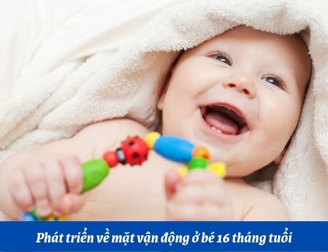 Trẻ 16 tháng tuổi có thể tự cầm nắm