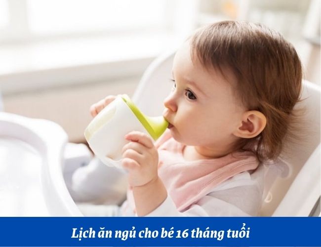 Sự phát triển của trẻ 16 tháng tuổi