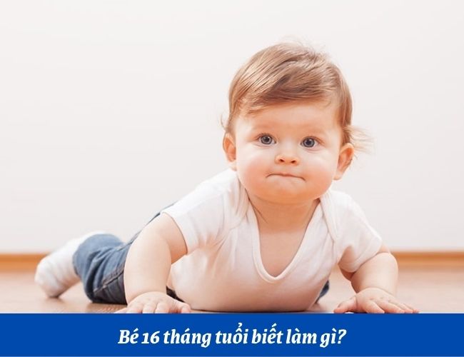 Bé 16 tháng tuổi đã phát triển nhiều kỹ năng để khám phá thế giới