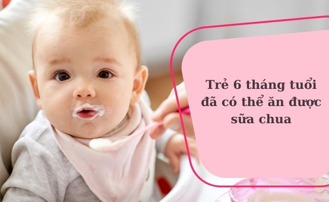 Trẻ 6 tháng tuổi đã có thể ăn được sữa chua