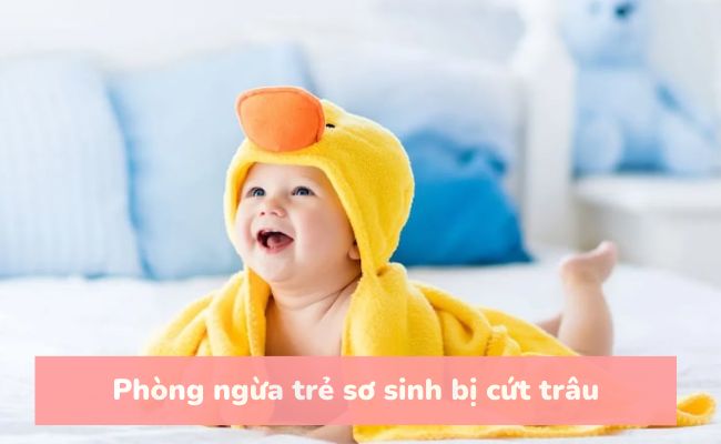 Phòng ngừa trẻ sơ sinh bị cứt trâu