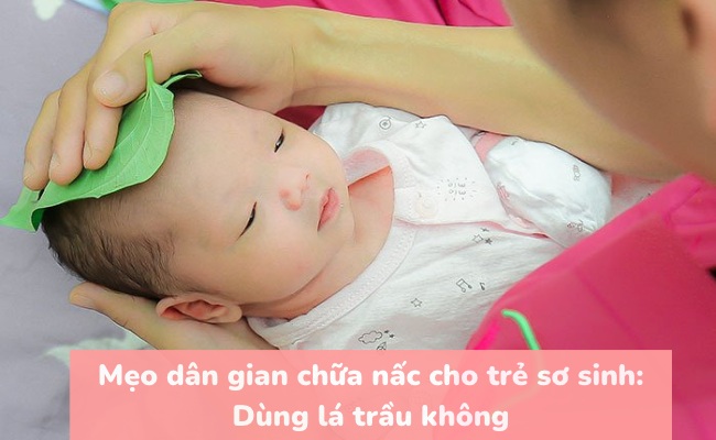 Dùng lá trầu không để dừng cơn nấc của bé