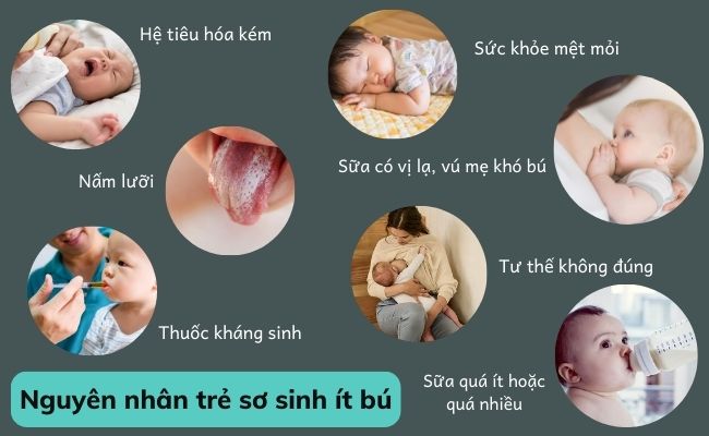 Nguyên nhân khiến trẻ sơ sinh ít bú