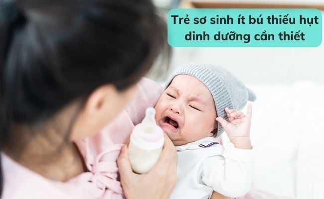 Nguyên nhân khiến trẻ sơ sinh ít bú