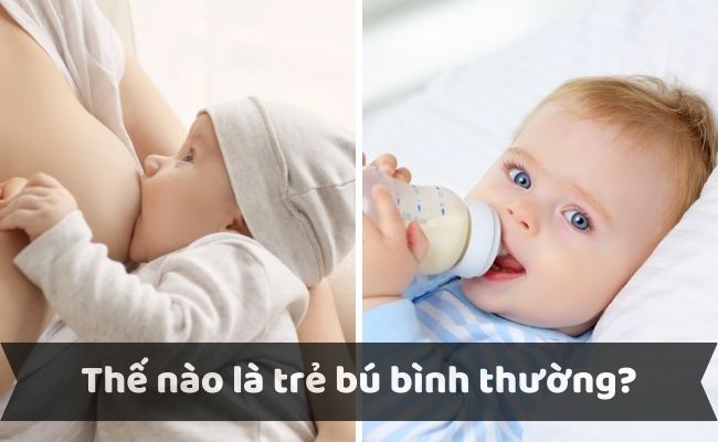 Thế nào là chế độ bú bình thường của trẻ sơ sinh?