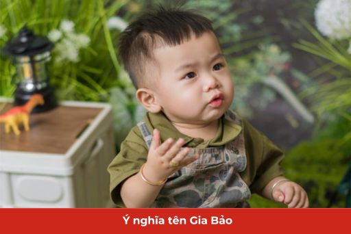 ý nghĩa tên gia bảo thumb