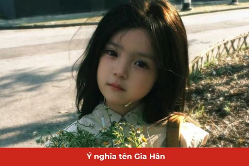ý nghĩa tên gia hân thumb