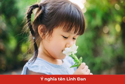ý nghĩa tên linh đan thumb