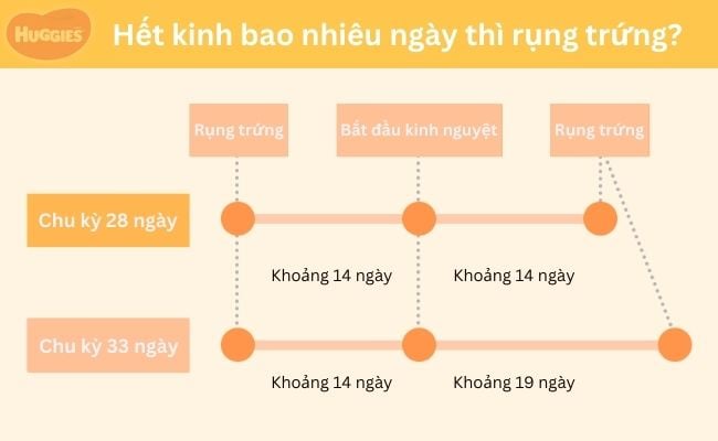 hết kinh bao nhiêu ngày thì rụng trứng