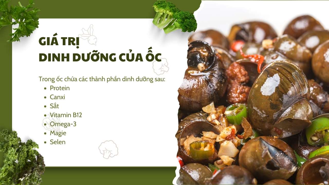 Giá trị dinh dưỡng có trong ốc mẹ bầu nên biết
