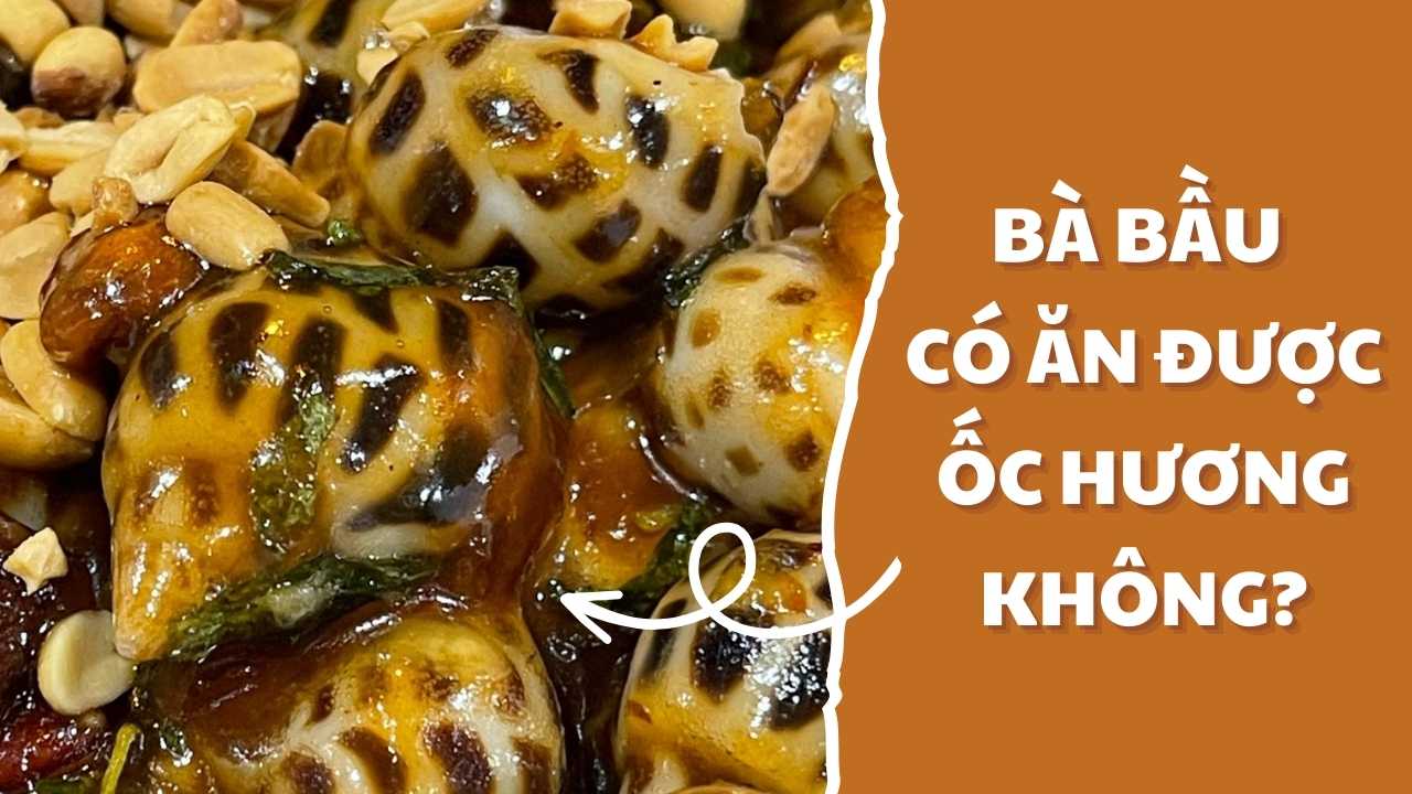 Bà bầu có ăn được ốc hương không