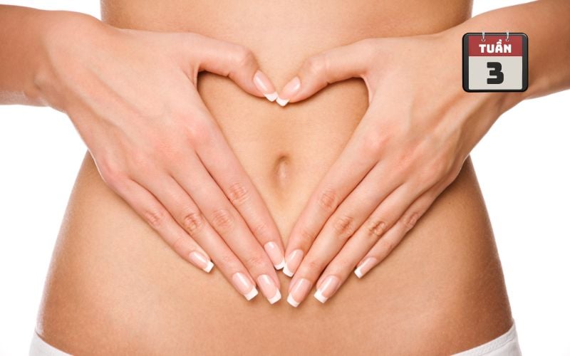 Hình ảnh bụng bầu ở tuần 3