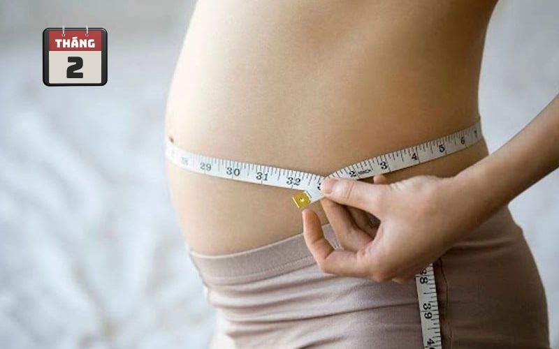 Hình ảnh bụng bầu 2 tháng