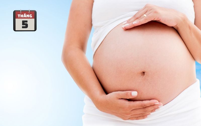 Hình ảnh bụng bầu 5 tháng (bụng bầu 20 tuần)