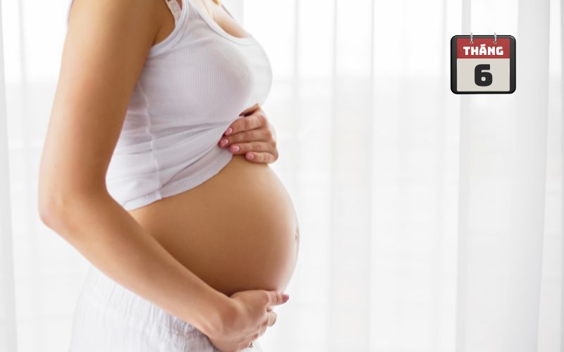 Hình ảnh bụng bầu 6 tháng
