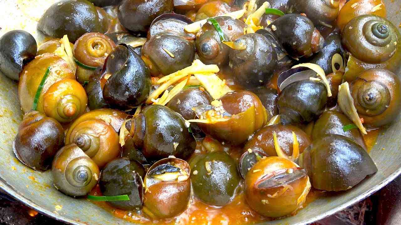 Các loại ốc bà bầu không nên ăn - Ốc bươu vàng