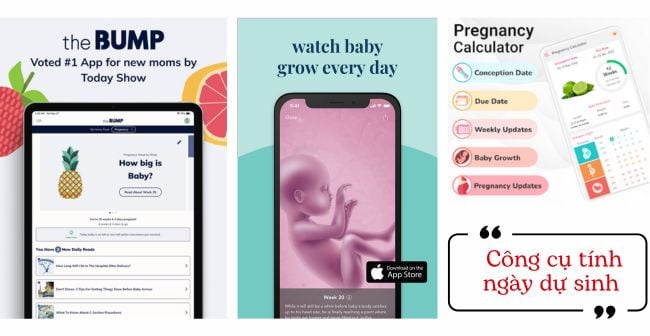 Cách tính ngày dự sinh theo chu kỳ kinh nguyệt