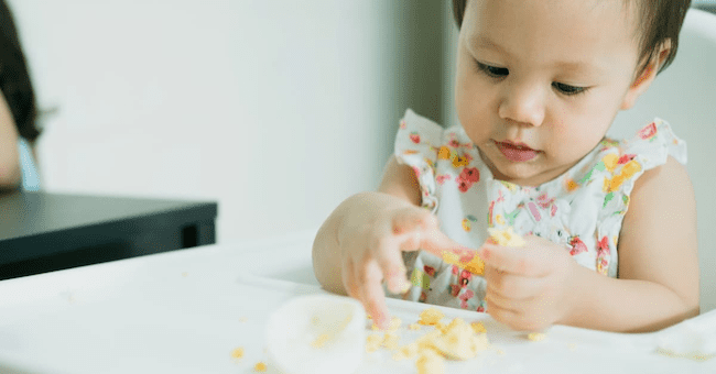 Thực đơn cho bé ăn dặm bằng cua/ghẹ