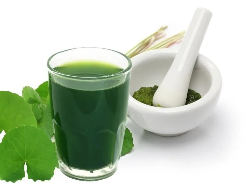 Một số bài thuốc dùng rau má để chữa bệnh