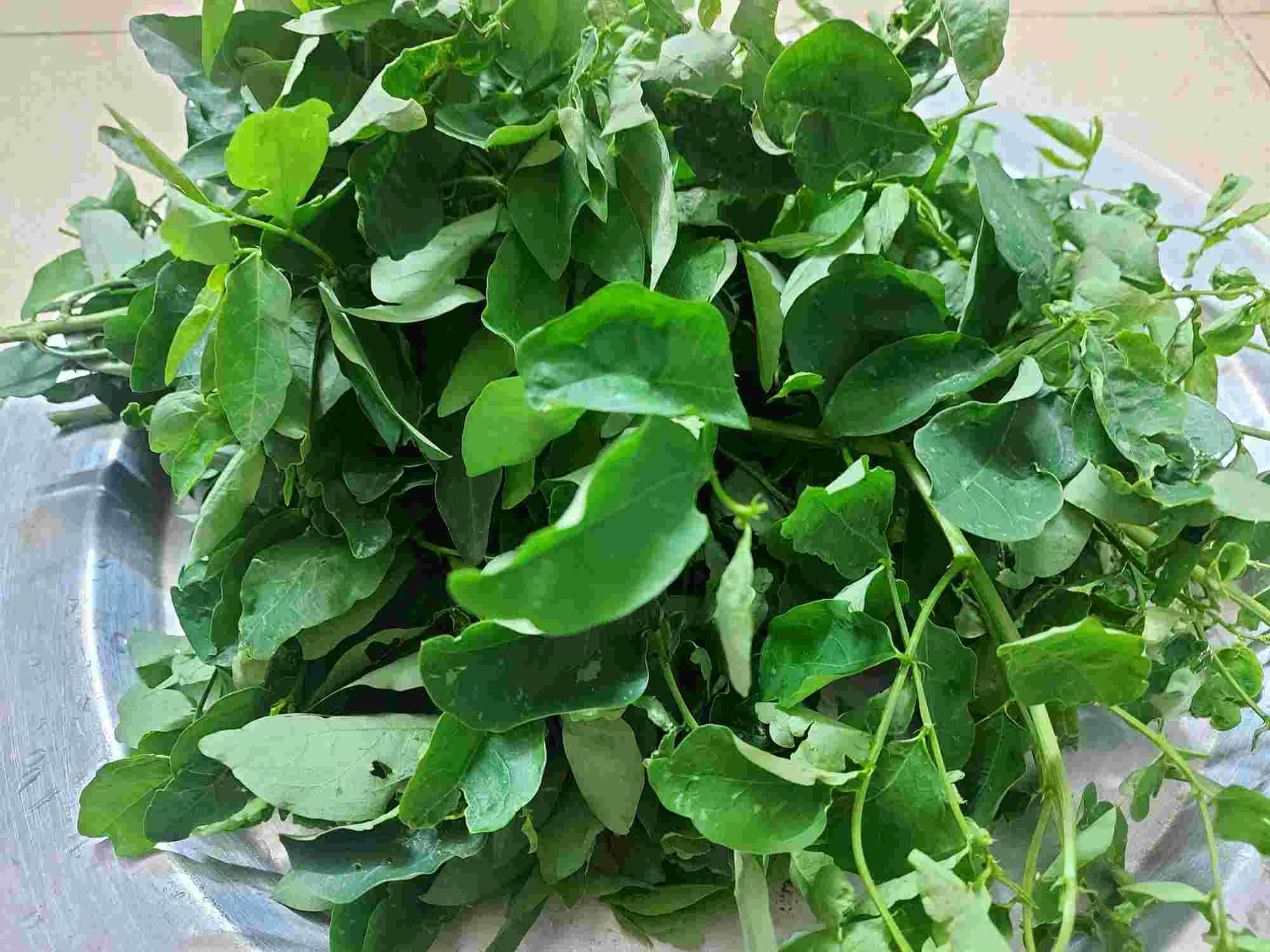 Tác dụng của rau ngót đối với y học hiện đại