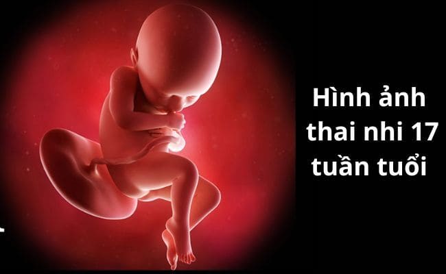 Một số dấu hiệu mang thai sớm khác