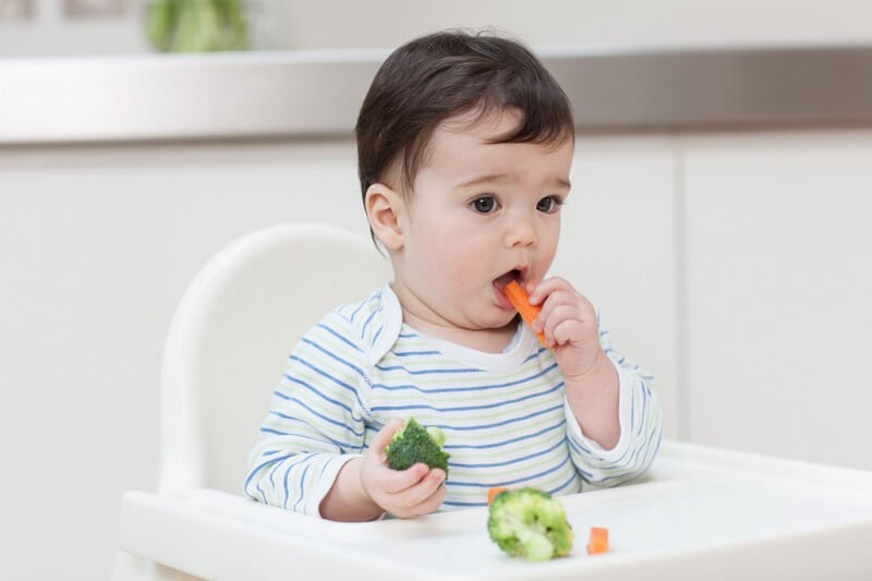 Lợi ích của phương pháp ăn dặm bé tự chỉ huy BLW